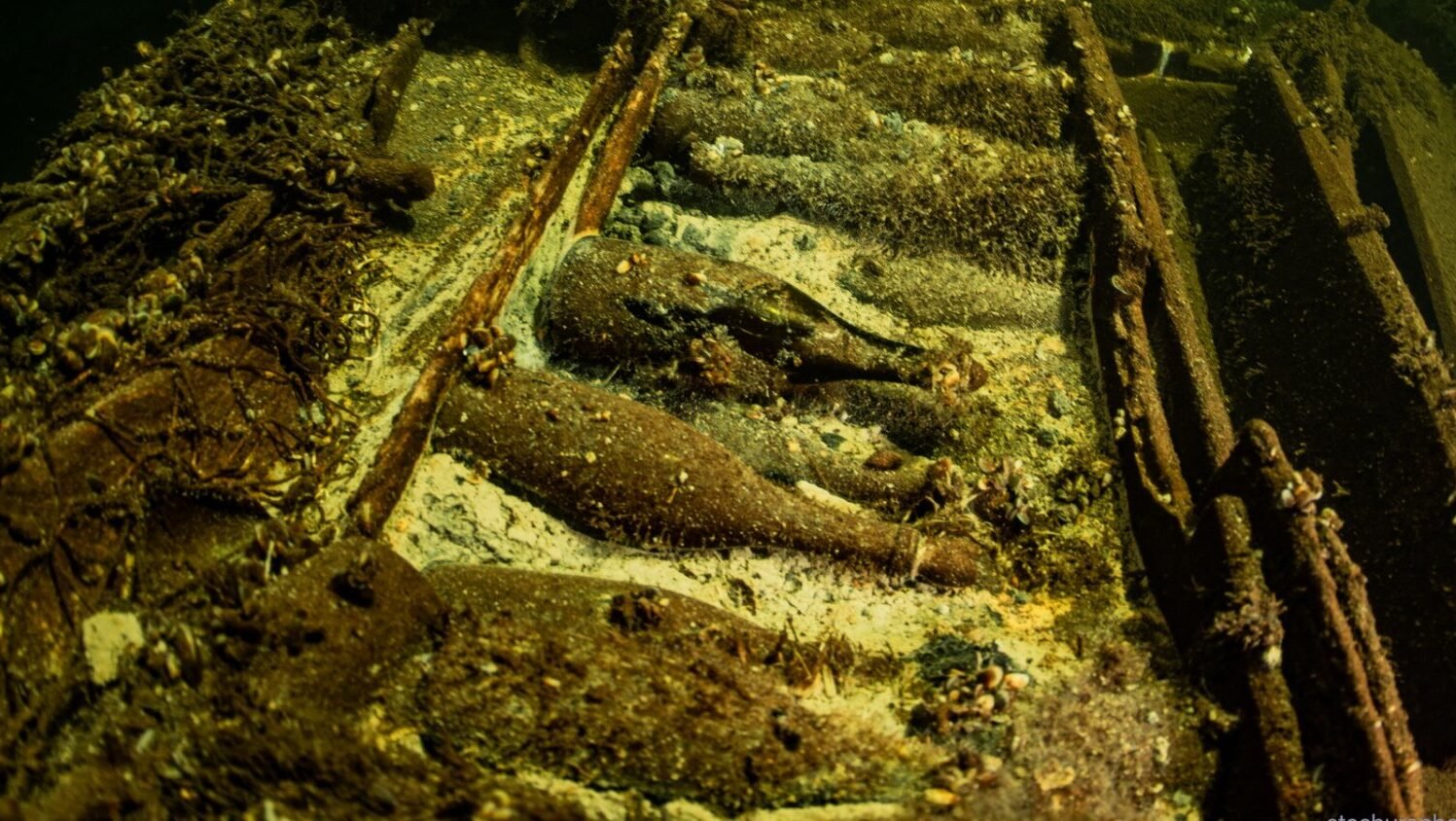 Champagne bottles in a Baltic shipwreck.